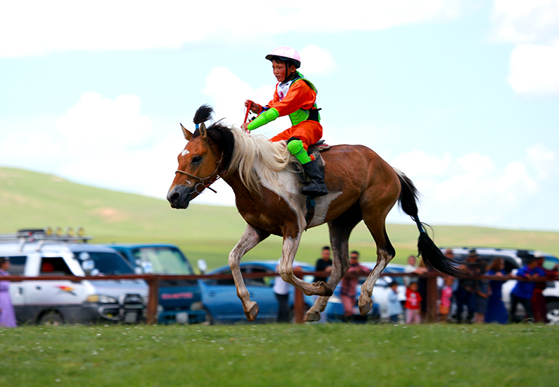 Horse race in Mongolian Naadam festival